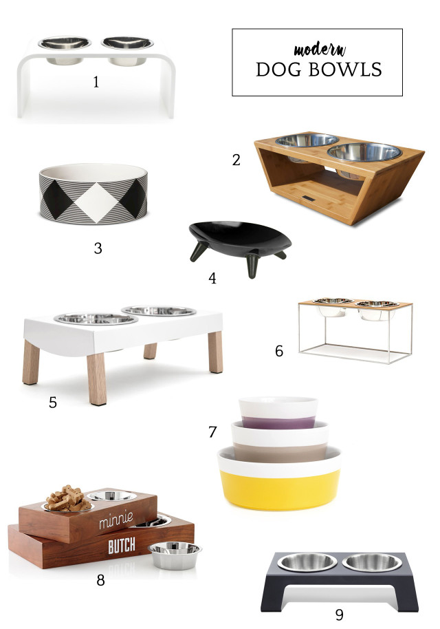 Modern dog bowls to complement your home decor | A Girl Named PJ
