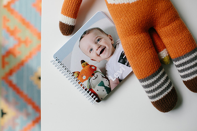 Levi's first year baby book | A Girl Named PJ