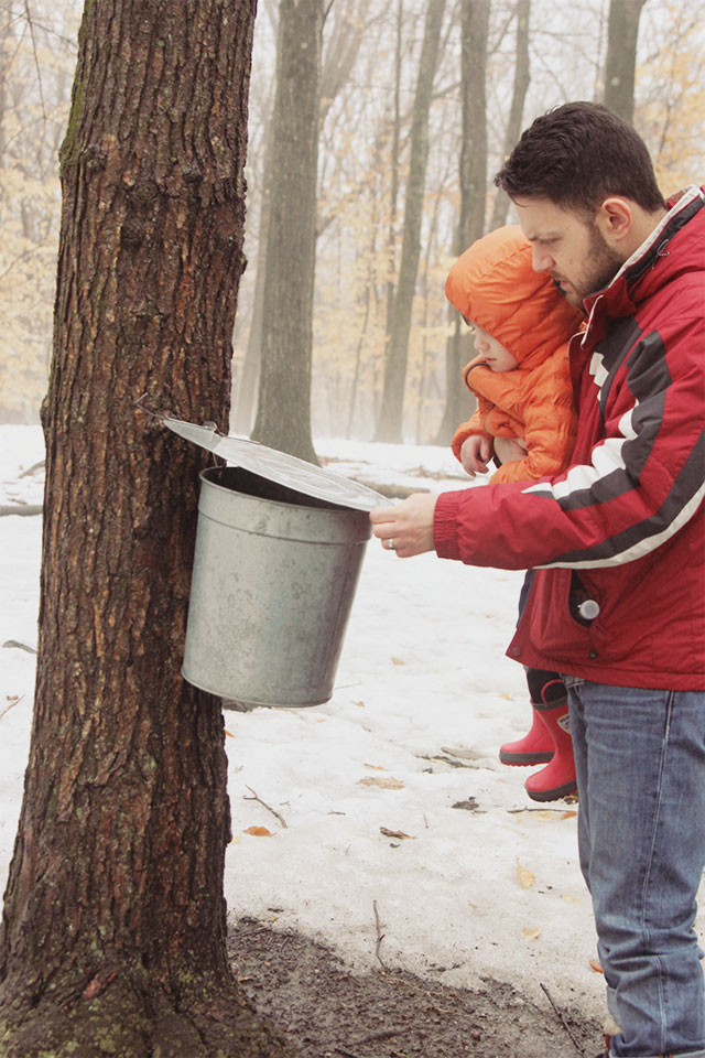 Maple sugaring in New Jersey | A Girl Named PJ