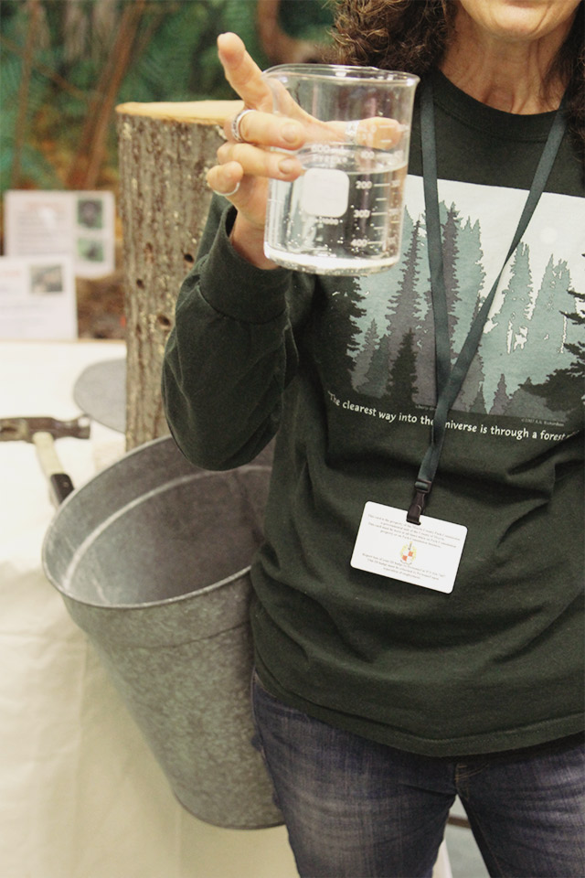 Maple sugaring in New Jersey | A Girl Named PJ