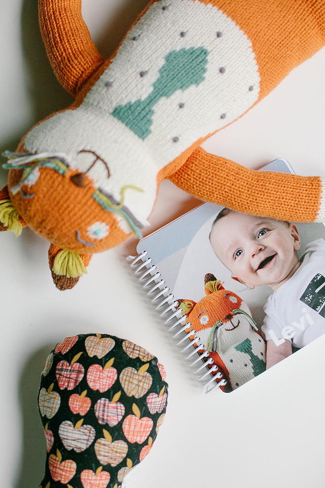 Create a Pinhole Press personalized board book with baby's first year photos | A Girl Named PJ